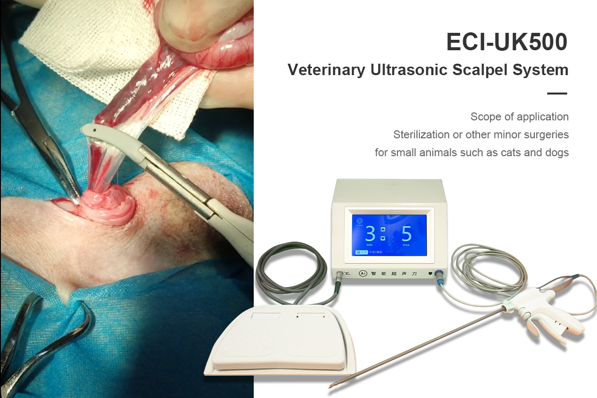Veterinary Ultrasonic Scalpel System Detail