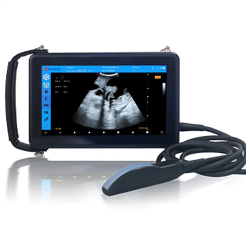 Wholesale ECI-X5 Portable Animals Ultrasound Machine for Pregnancy Diagnosis Exporter, Exporters
