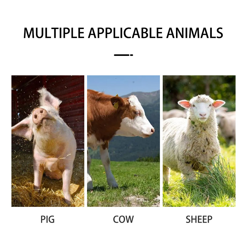 Ovulation detector animal application