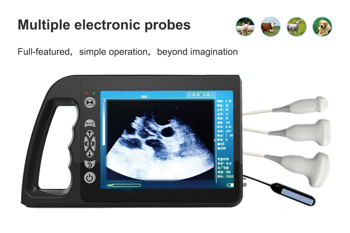 Veterinary Ultrasound Scanner Overview 1