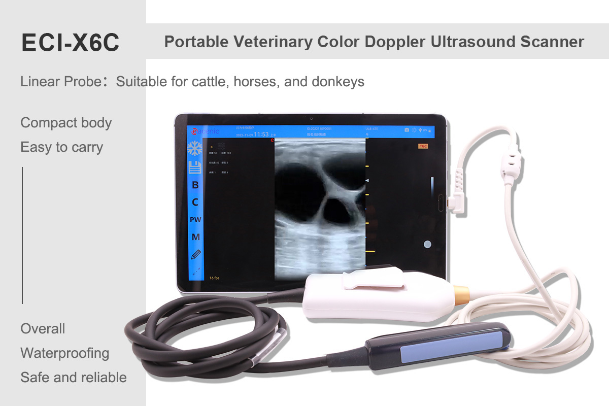 X6C Color Doppler Display