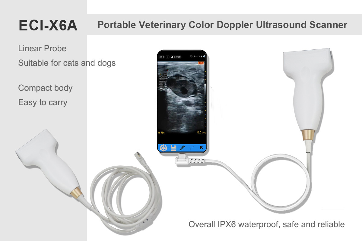 X6A Application