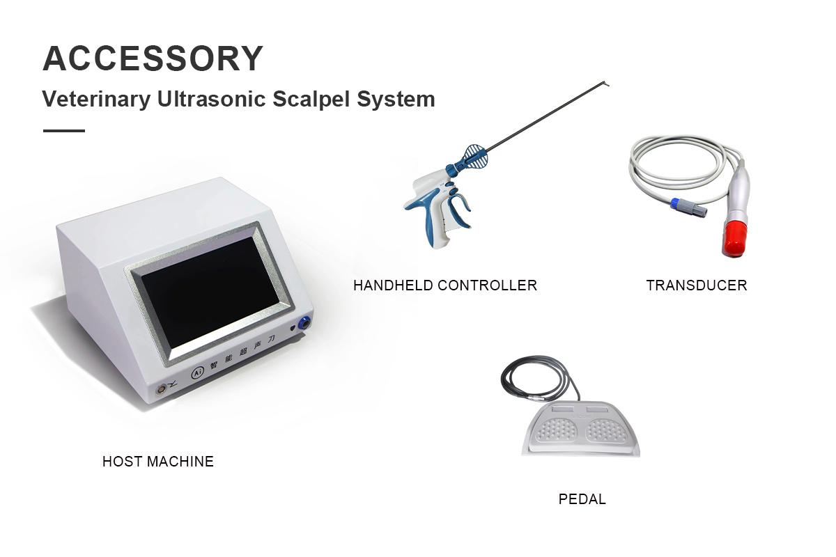 Setting Ultrasonic Scalpel Parameters