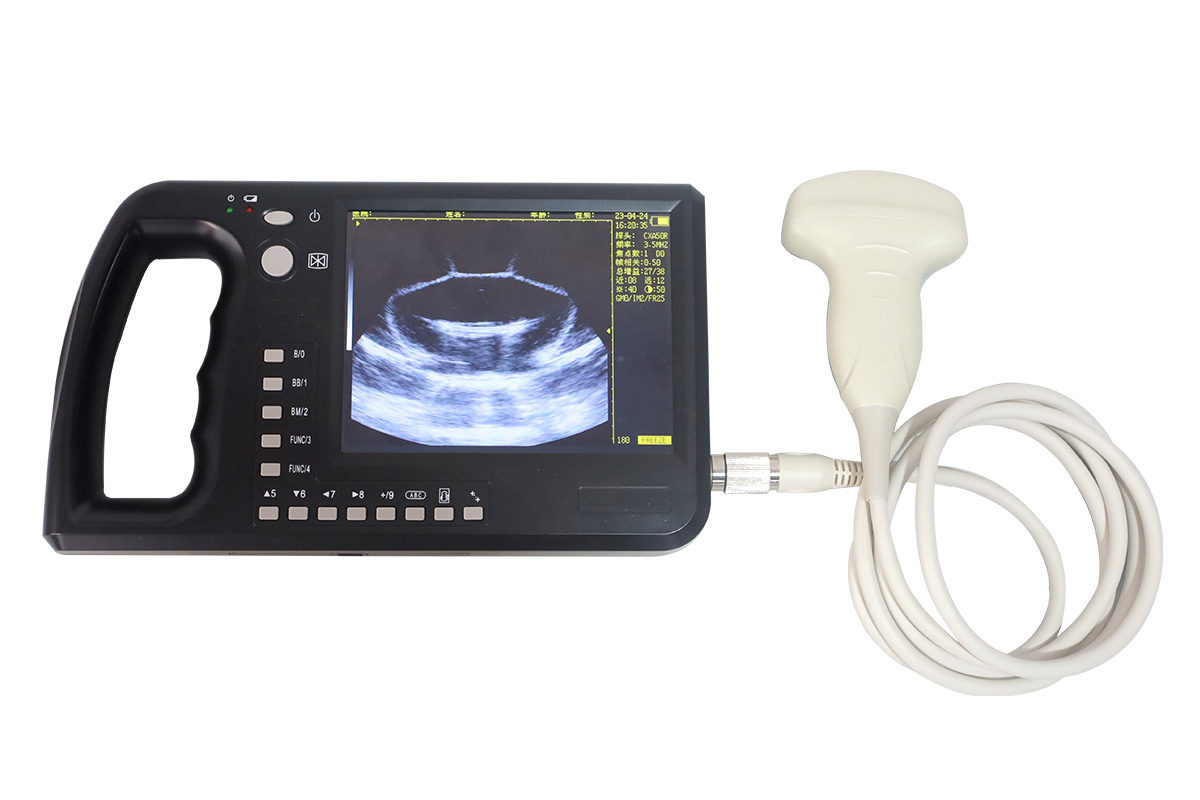 Veterinary ultrasound detail 2
