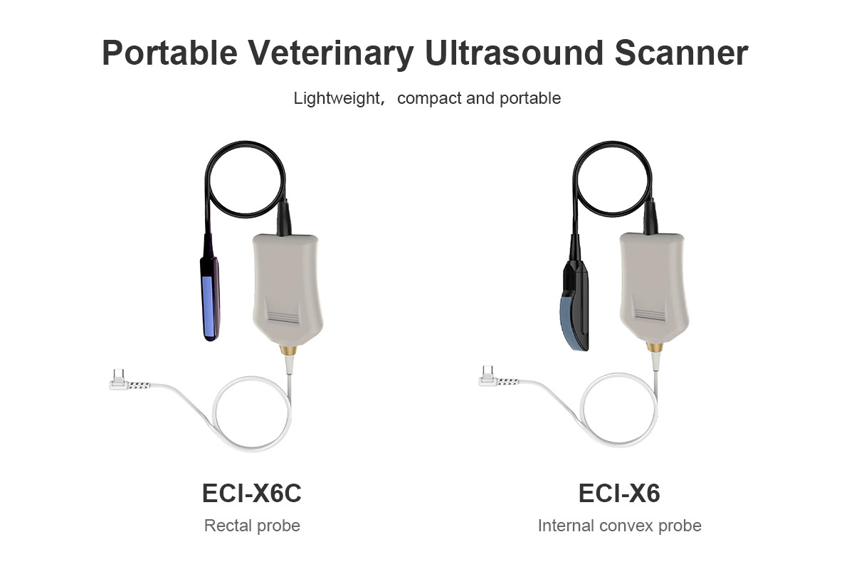 Portable Veterinary Ultrasound Scanner