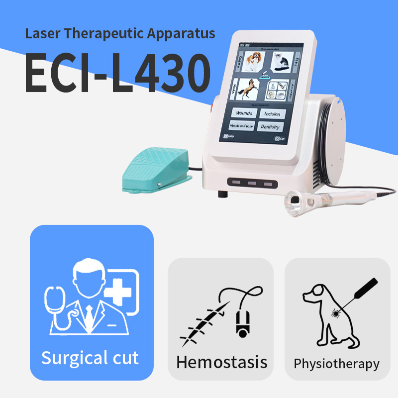 Veterinary Laser Therapeutic Apparatus Detail 1