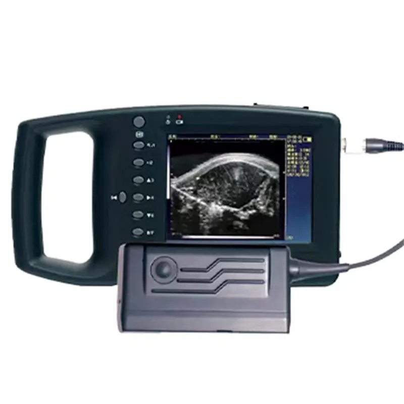 Wholesale ECI-3000D Ultrasound Machine for Loin-eye Muscle Testing Suppliers, Exporter