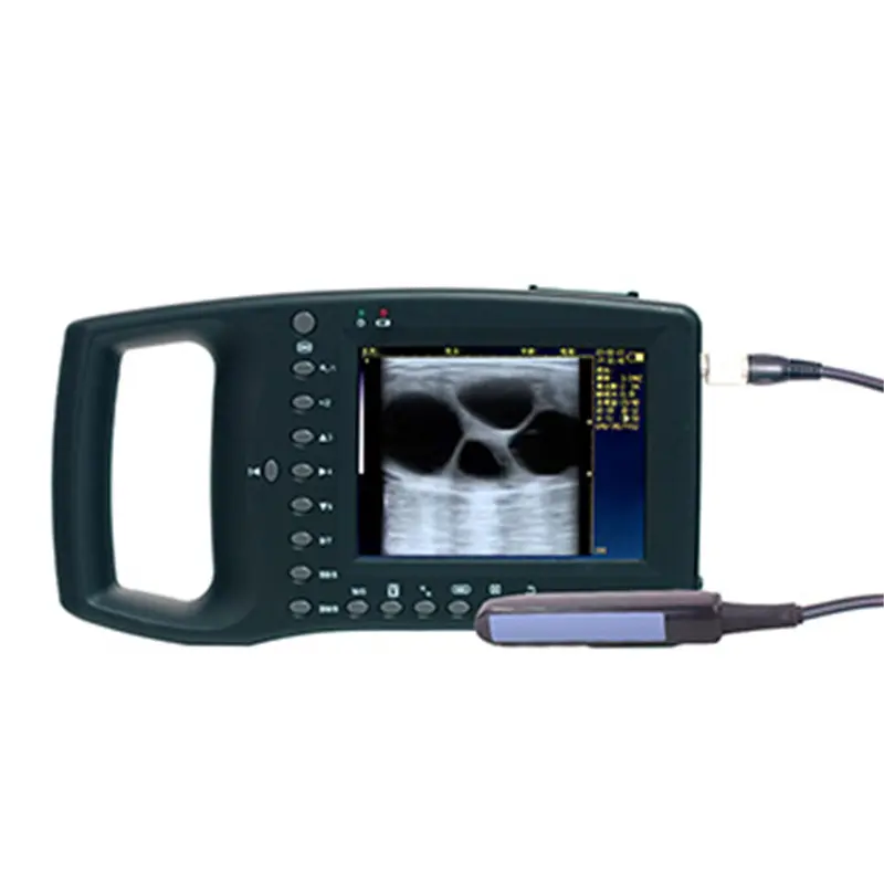 Wholesale ECI-3000D Ultrasound Machine for Loin-eye Muscle Testing Suppliers, Exporter