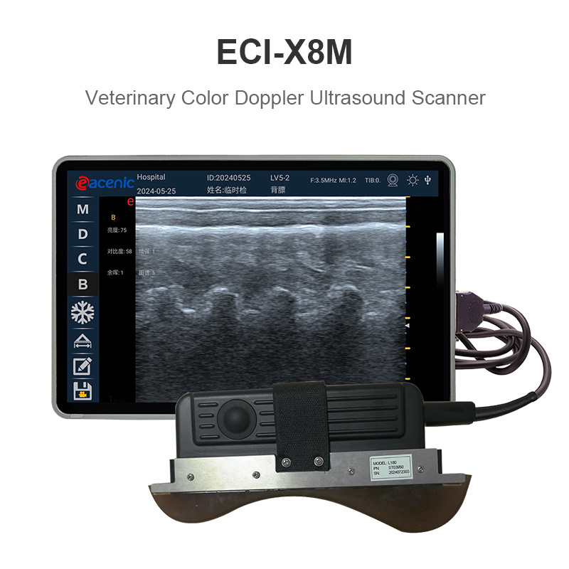 Veterinary Ultrasound Detail 1