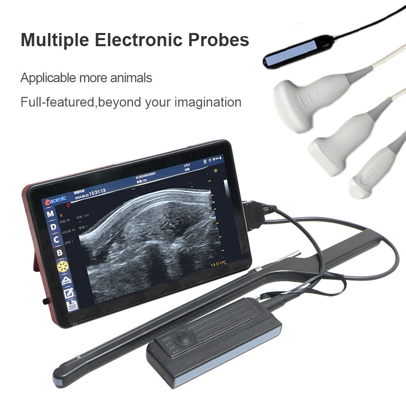 Veterinary Ultrasound Probe Detail