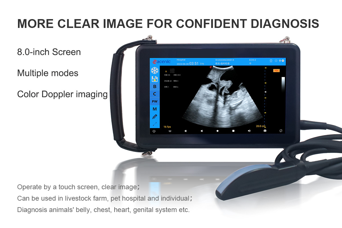 Veterinary Color Doppler Ultrasound Display