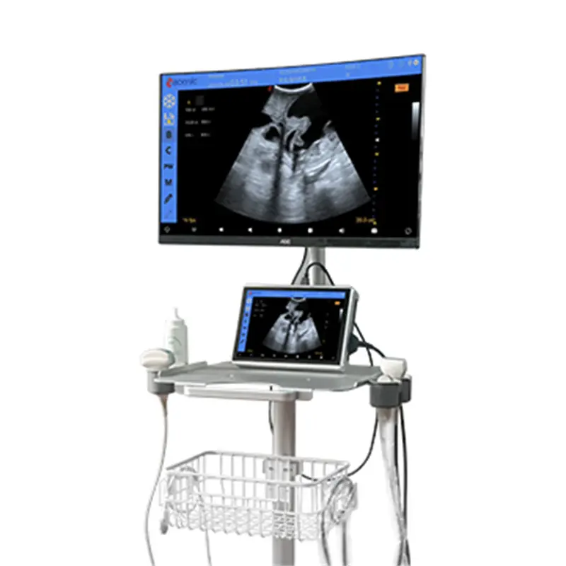 Wholesale ECI-E7 Color Doppler Ultrasound Scanner for Pet Hospital with Trolley Manufacturer, Supplier