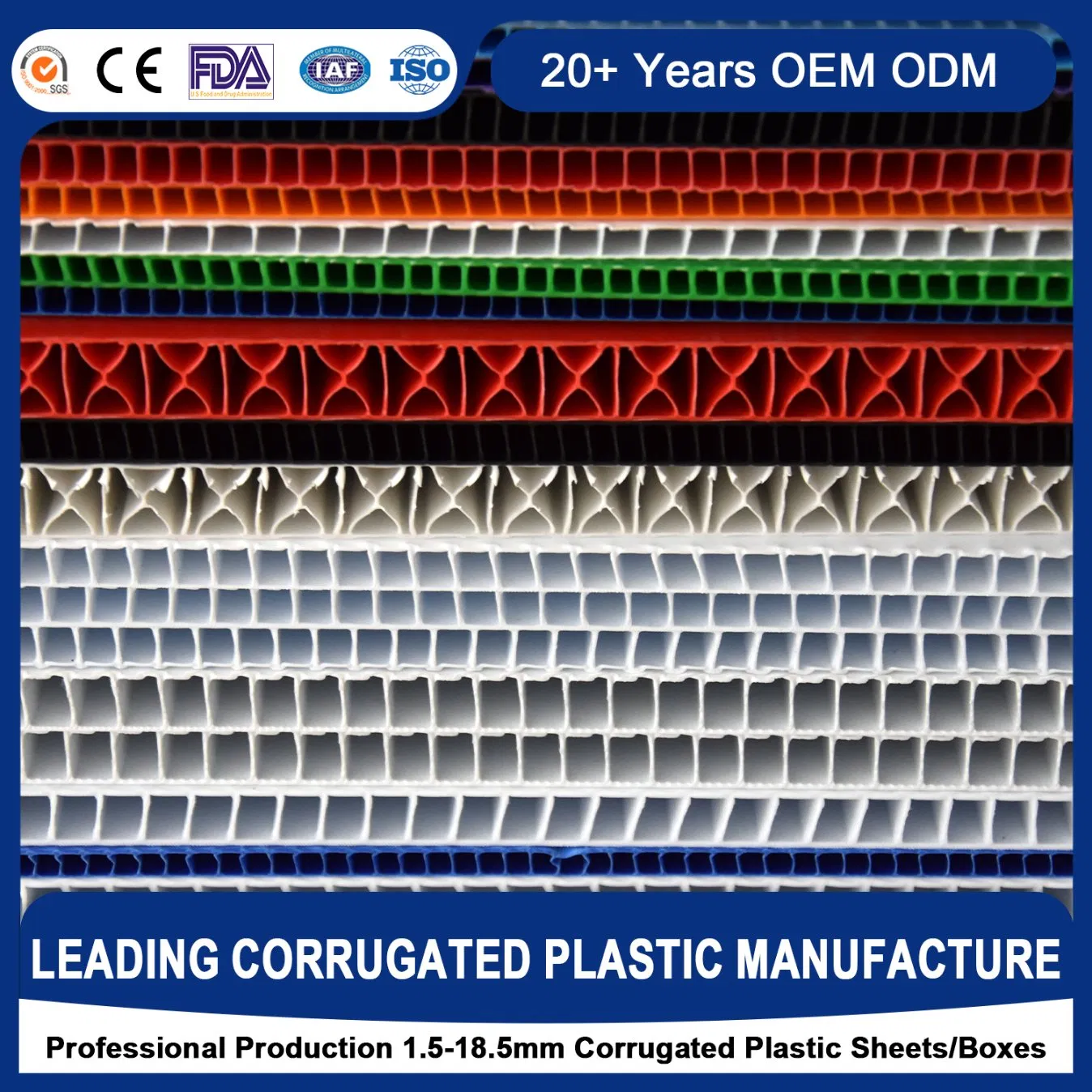 Rich-Colors Moisture Resistance Non-Toxic High Surface Strength Thermoforming Plastic Cutting Flute Board for Back &amp; Side Plate Pharmaceutical Food