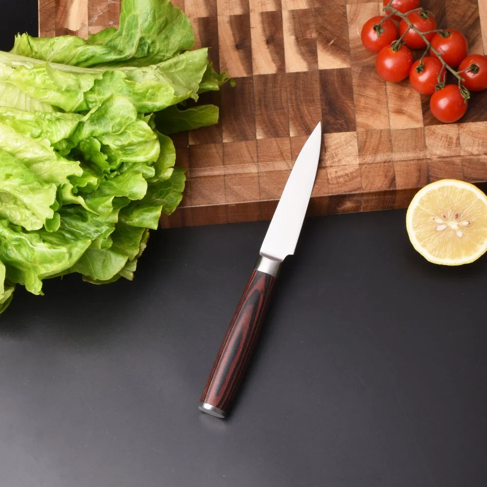 Stainless Steel Paring Utility Santoku Chef Sliced Japanese Wooden Tool Kitchen Knife with Gift Logo