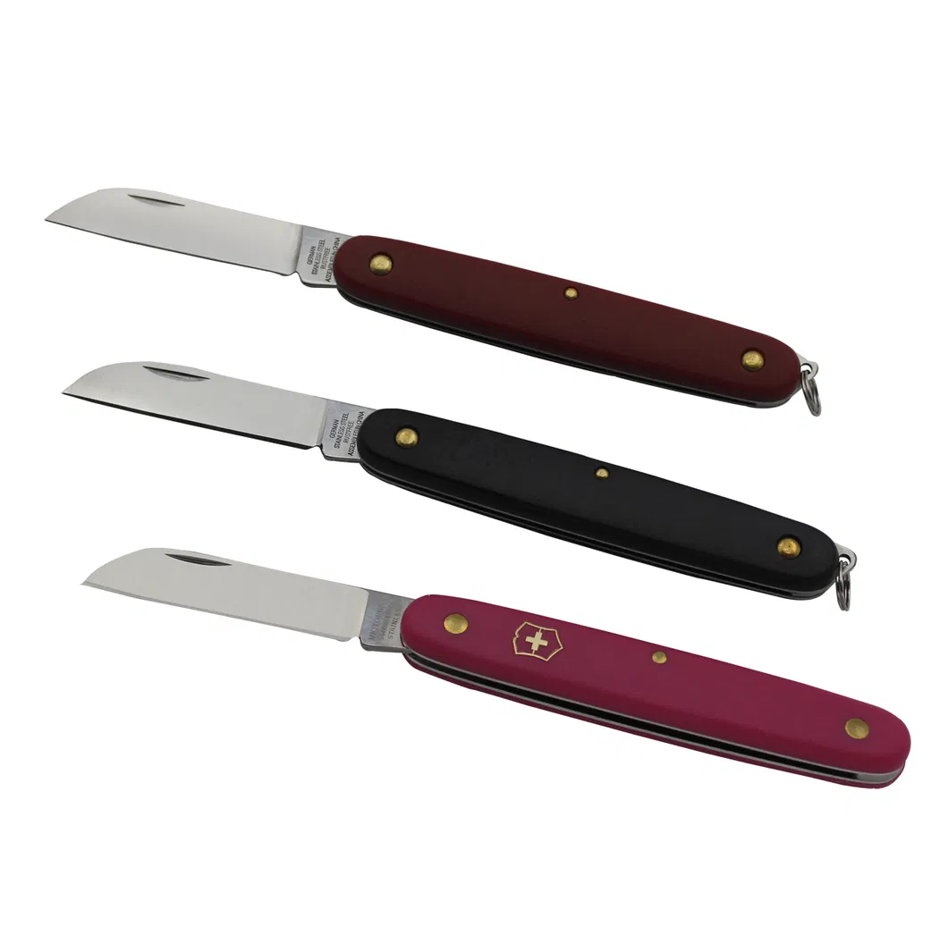 Fruit Knife with Plastic Handle