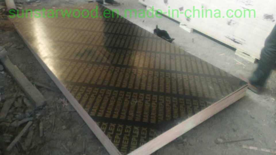 Plywood Formwork Shuttering Film Faced Plywood From China