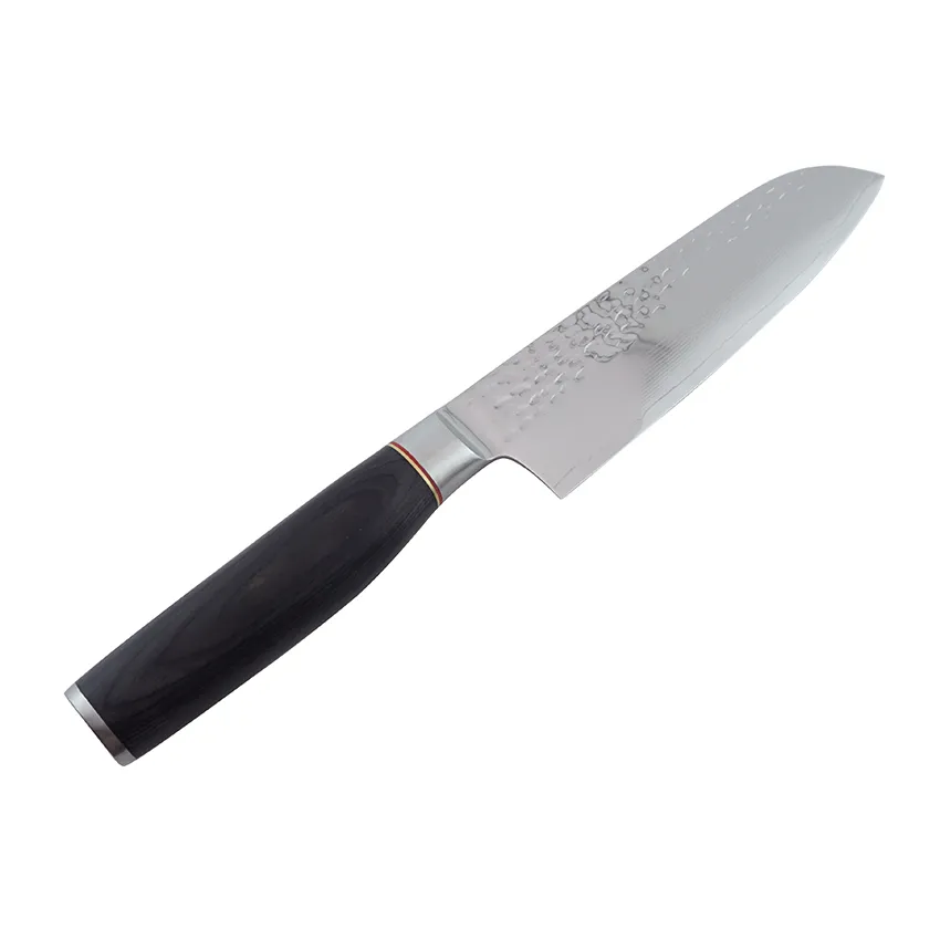 Professional Kitchen Knife