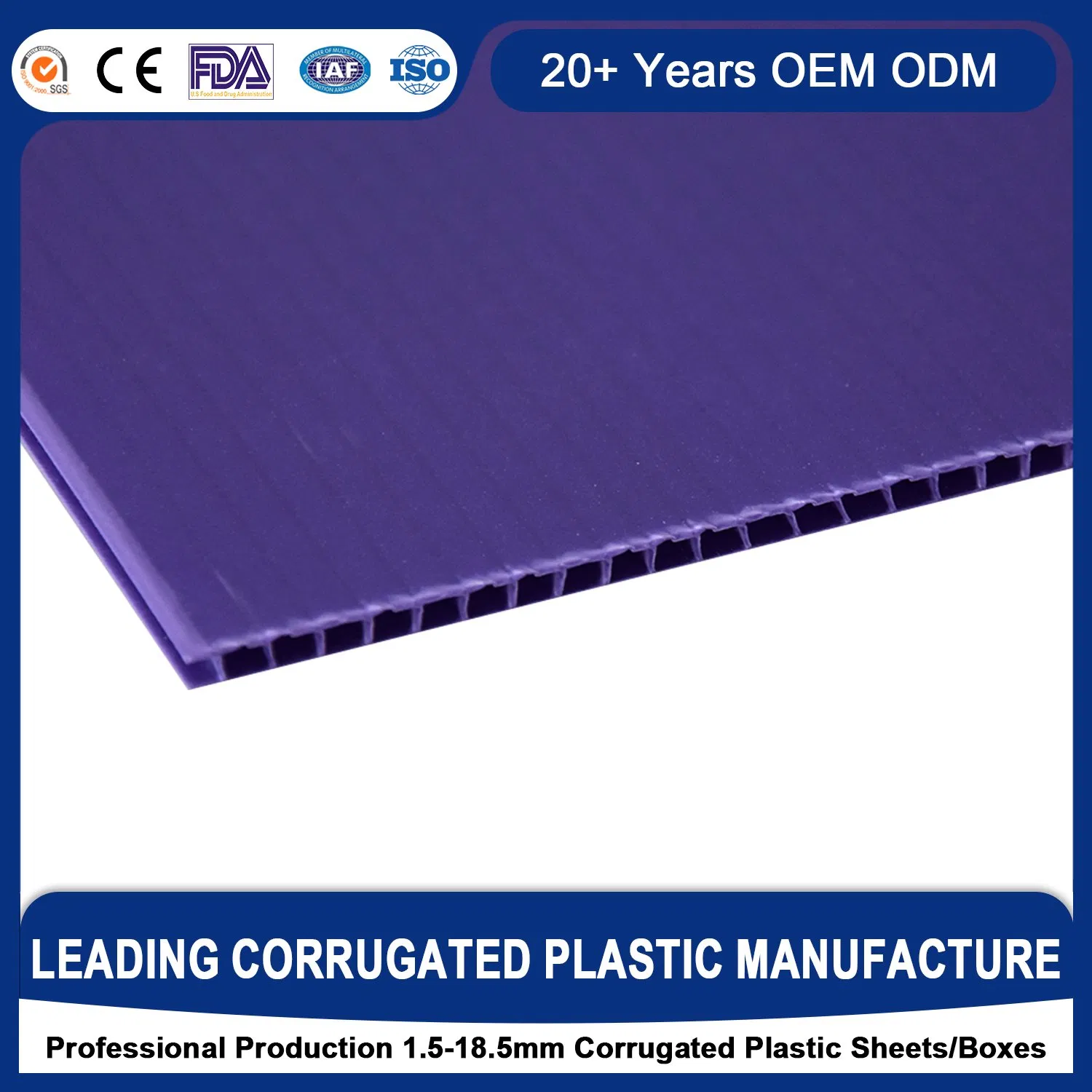 Rich-Colors Moisture Resistance Non-Toxic High Surface Strength Thermoforming Plastic Cutting Flute Board for Back &amp; Side Plate Pharmaceutical Food