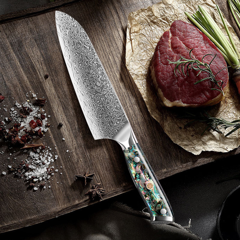 Premium Vg10 Damascus Steel Kitchen Knife Set for Chefs