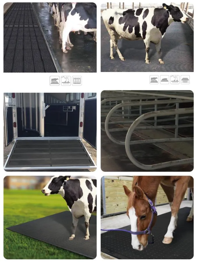 Rubber Mat Application Area