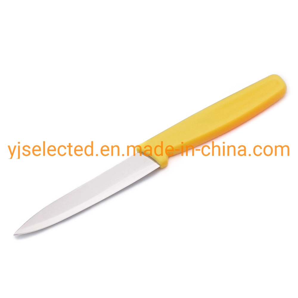 Satinless Steel 4 Inch Straight Paring Knife with Spear Pointy and Color Plastic Handle