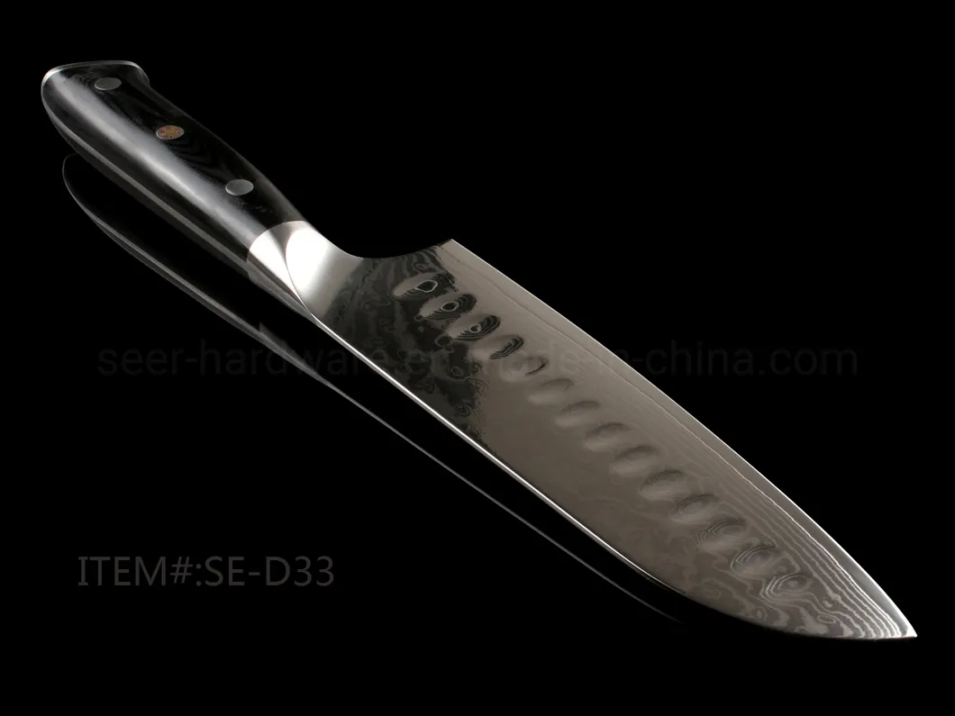 Santoku Knife Angle View