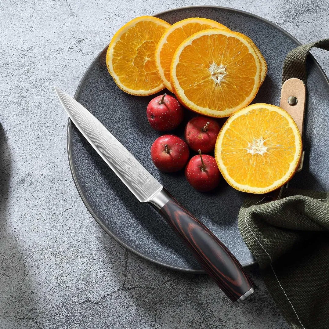 Ds-2963 Utility Knife 5 Inch Chef Knife, Ultra Sharp Stainless Steel Kitchen Knife Multipurpose Paring Knife for Fruit and Vegetable Cutting with Wooden Handle