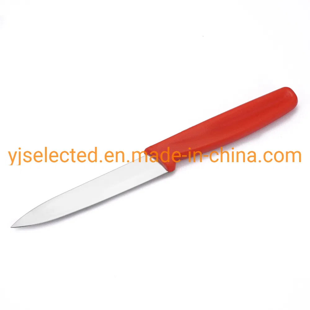 Satinless Steel 4 Inch Straight Paring Knife with Spear Pointy and Color Plastic Handle