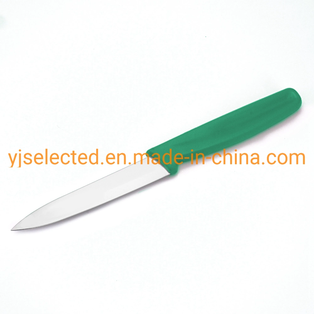Satinless Steel 4 Inch Straight Paring Knife with Spear Pointy and Color Plastic Handle