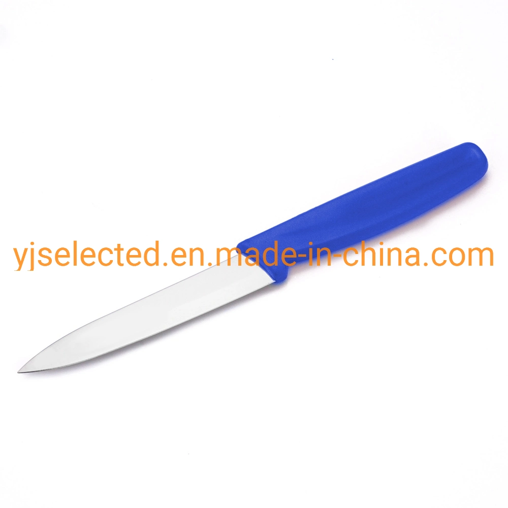 Satinless Steel 4 Inch Straight Paring Knife with Spear Pointy and Color Plastic Handle
