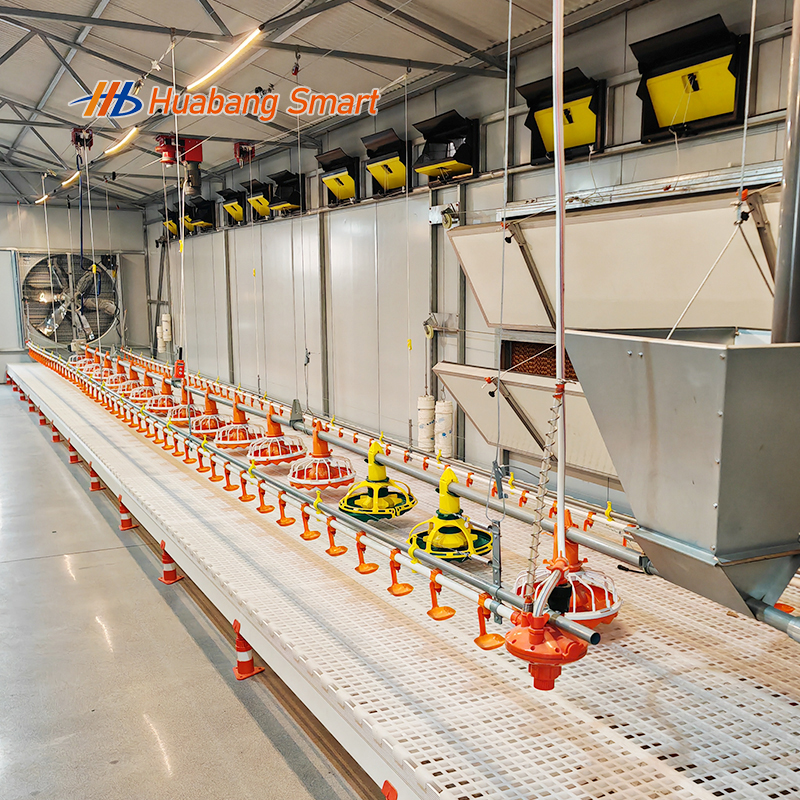 Fully Automatic Poultry Feeding System with Durable PP Material and Efficient Design for Modern Chicken Farms