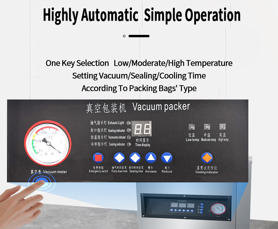Vacuum Packaging Machine Detail
