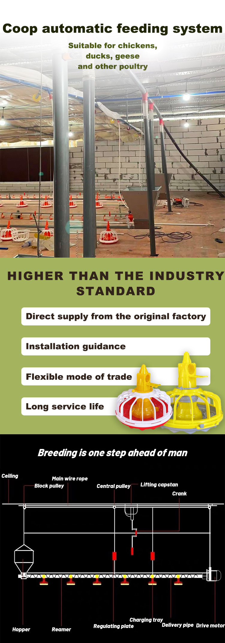 Automatic Feeding System Components