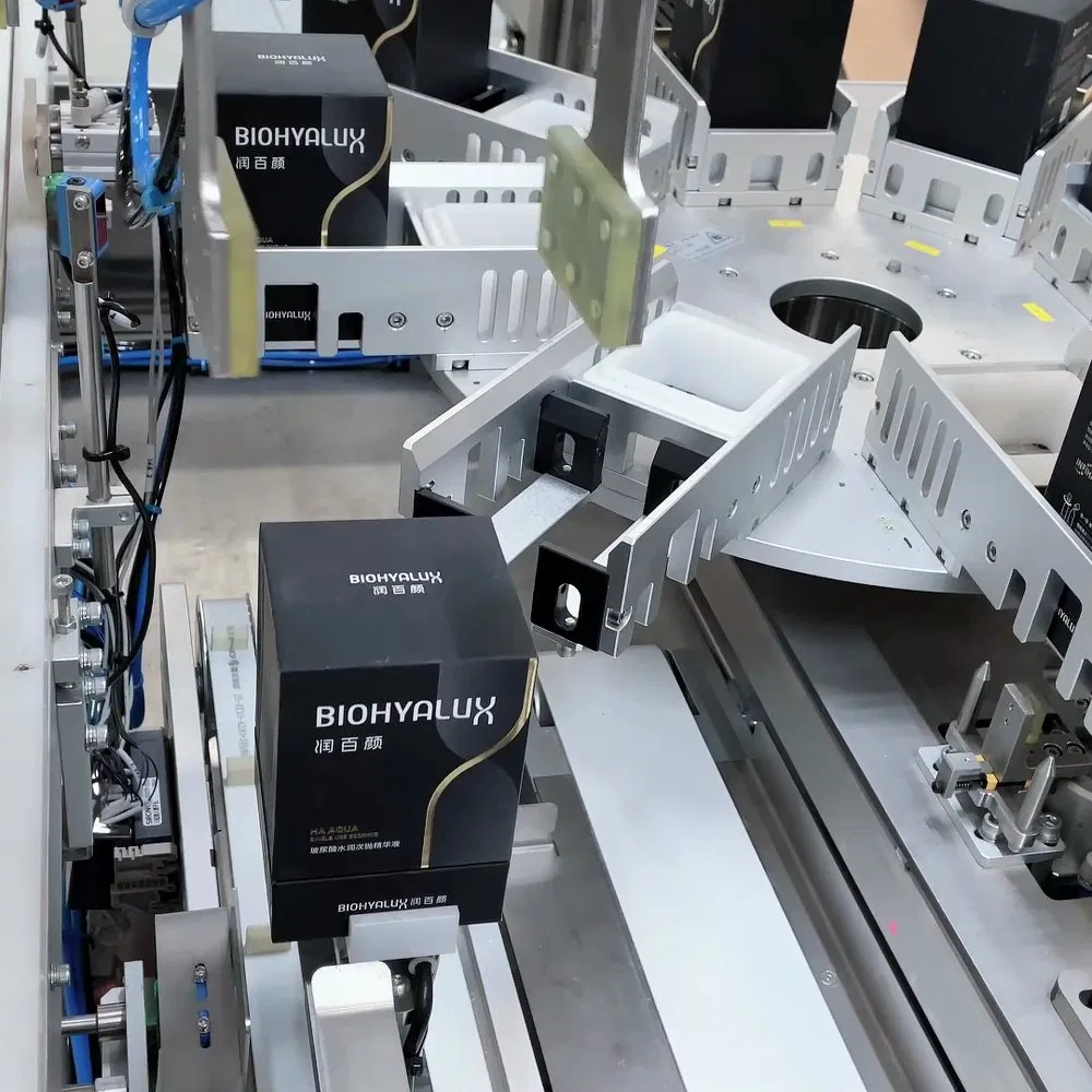 Flexible Delta Robot Packing System for Sachet Refills and Sample Pouches