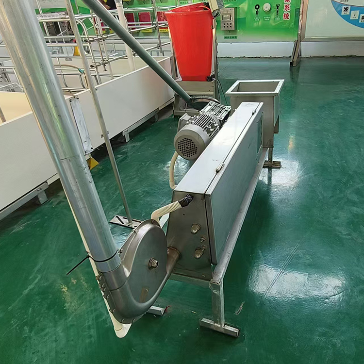 Complete Poultry Feeding Chain Feeding System 304 Stainless Steel Automatic Pig Feed Line
