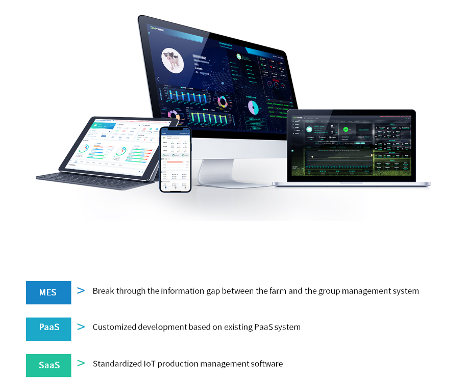 System architecture