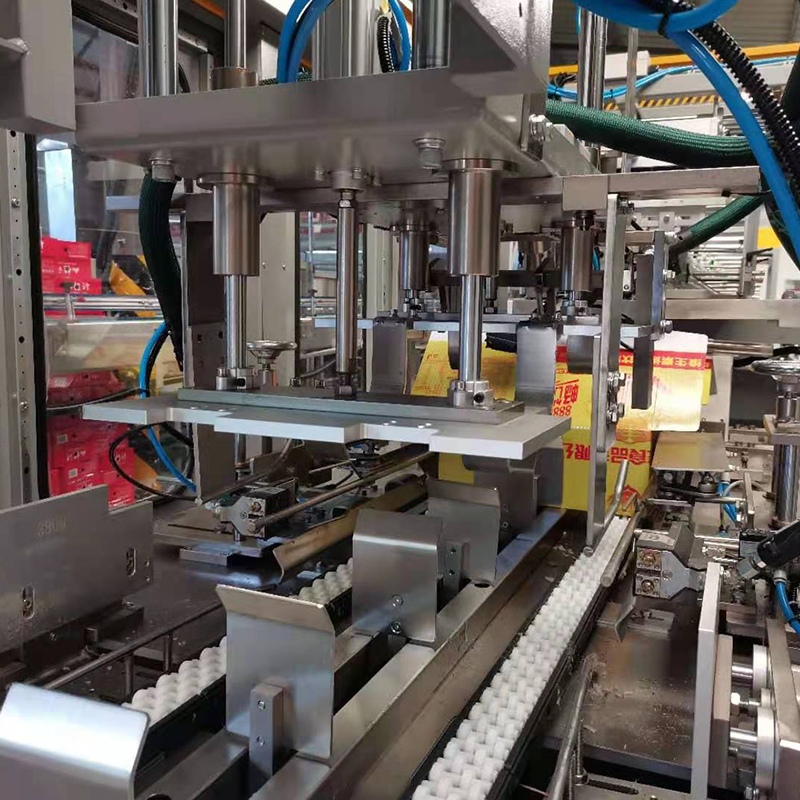 Automatic case Packing Carton Packer case Packaging Automated Packaging Systems with Water