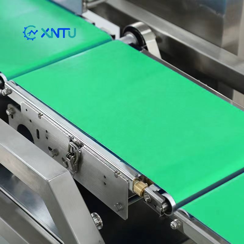 Packaging Production Line Belt Conveyor Weighing System PLC Control 10g Precision 40 Items/Minute Automatic Safe Efficient
