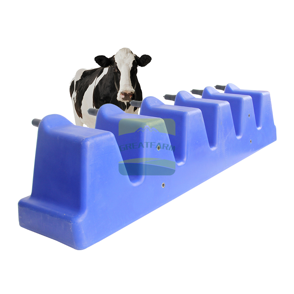 6-Place Calf Feeder Trough - Durable Plastic Milk Feeding System for Calves