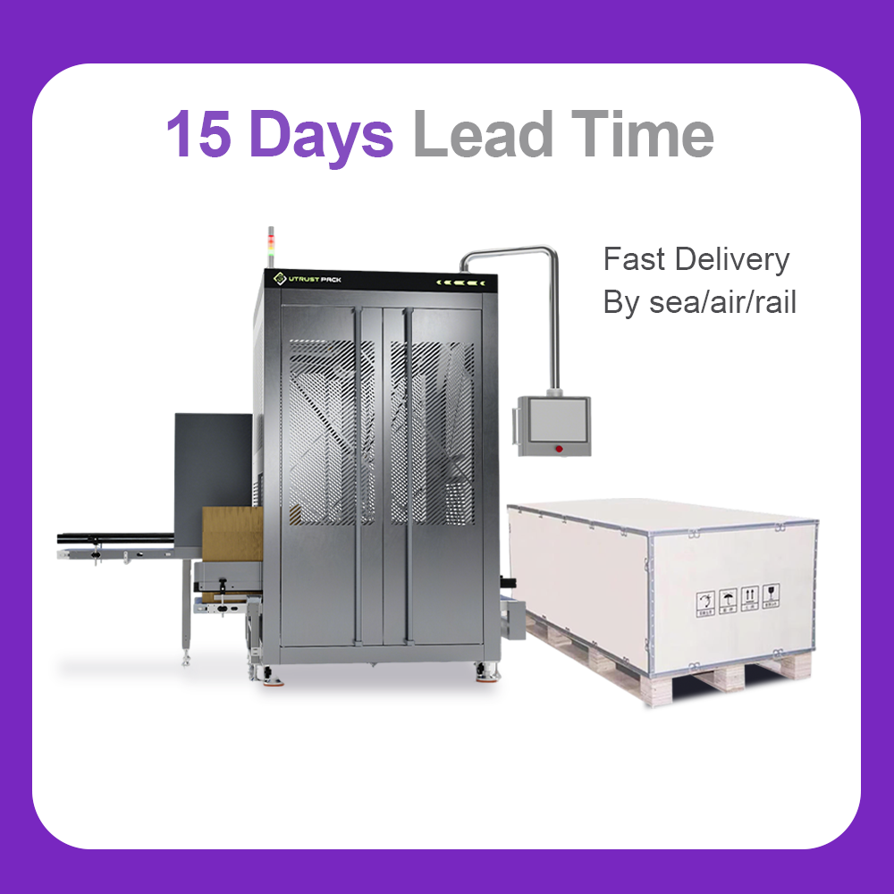 Hot Sale High Efficiency Robot Sorting & Case Packing System