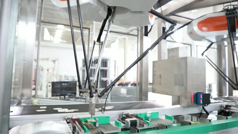 Flexible Delta Robot Packing System for Sachet Refills and Sample Pouches