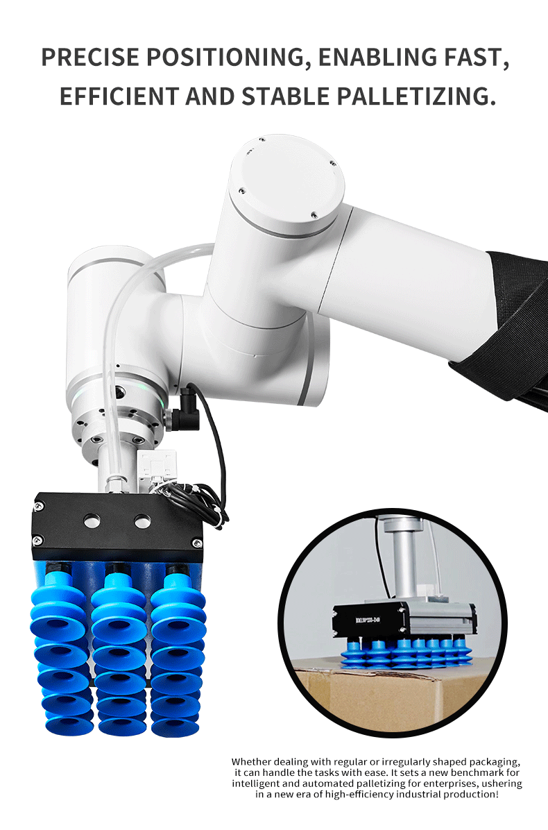 Product View 6