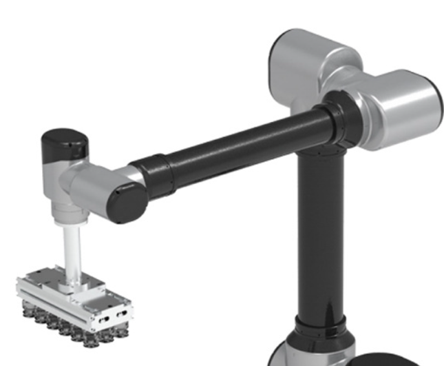 Suction cup