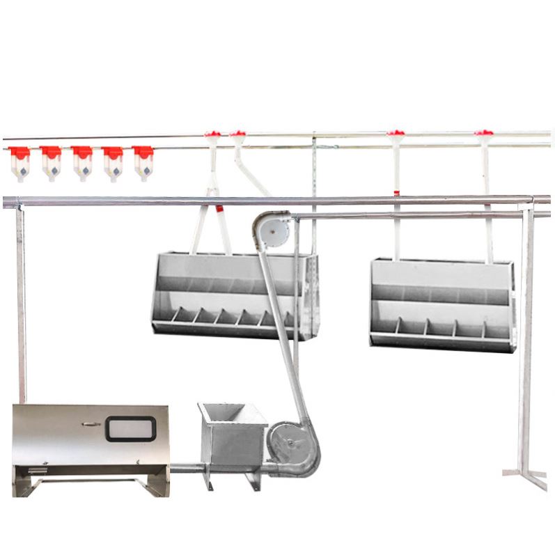 Large Commercial Farming and Animal Husbandry Automatic Feeding System Sow Fattening Pig Automatic Feeding Equipment