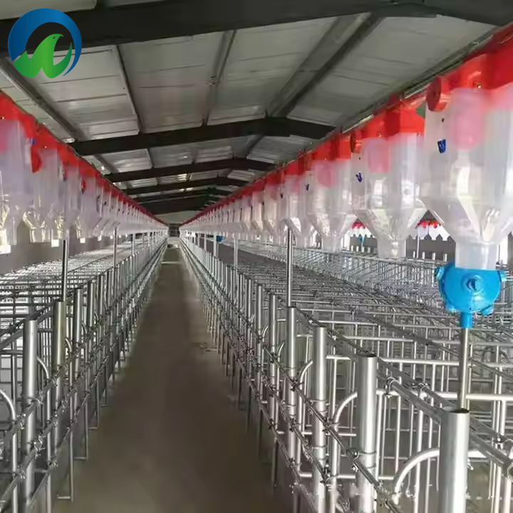 High Quality Automatic Feeding System PP Plastic Drop Feeder New Condition Animal Husbandry Equipment Pig/Swine Farm Animal