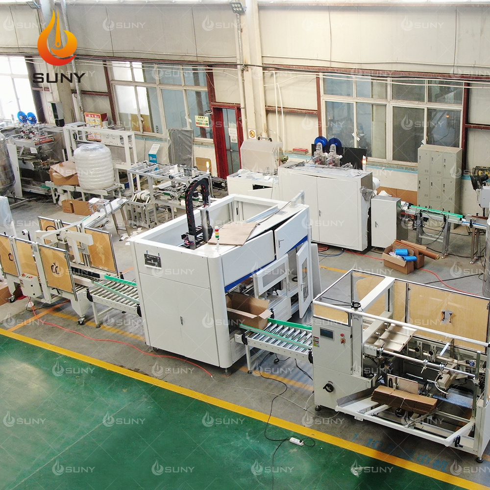 Automatic Case Packer Box Collecting and Pick &amp; Place System with Carton Erector Taping Machine Check Weigher