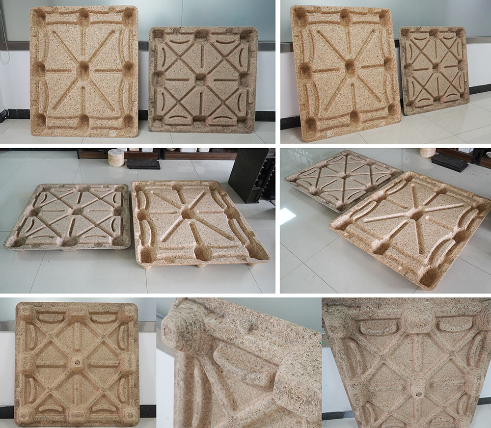 Mold Specification details