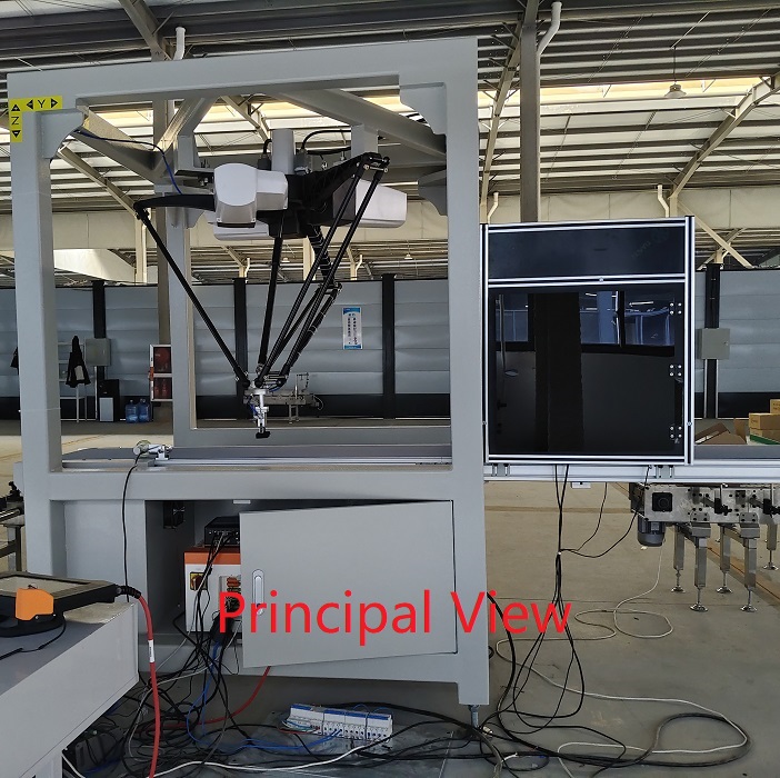 Efficient and Safe Smart Automatic Delta Robot Case Packer High Speed Spider Carton and Bag Packaging Machine Packing Line