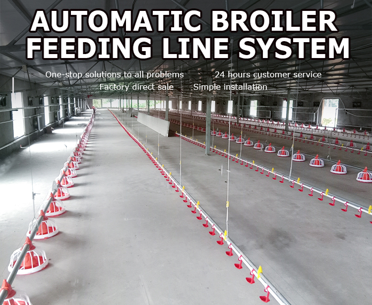 Poultry Equipment Banner