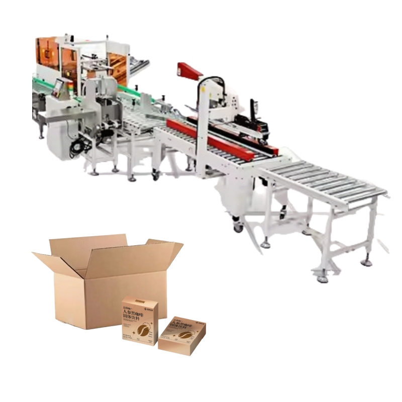 Automatic Case Packer Carton Box Packing Machine with Stainless Steel 304 Multifunctional for Chemical &amp; Food Applications